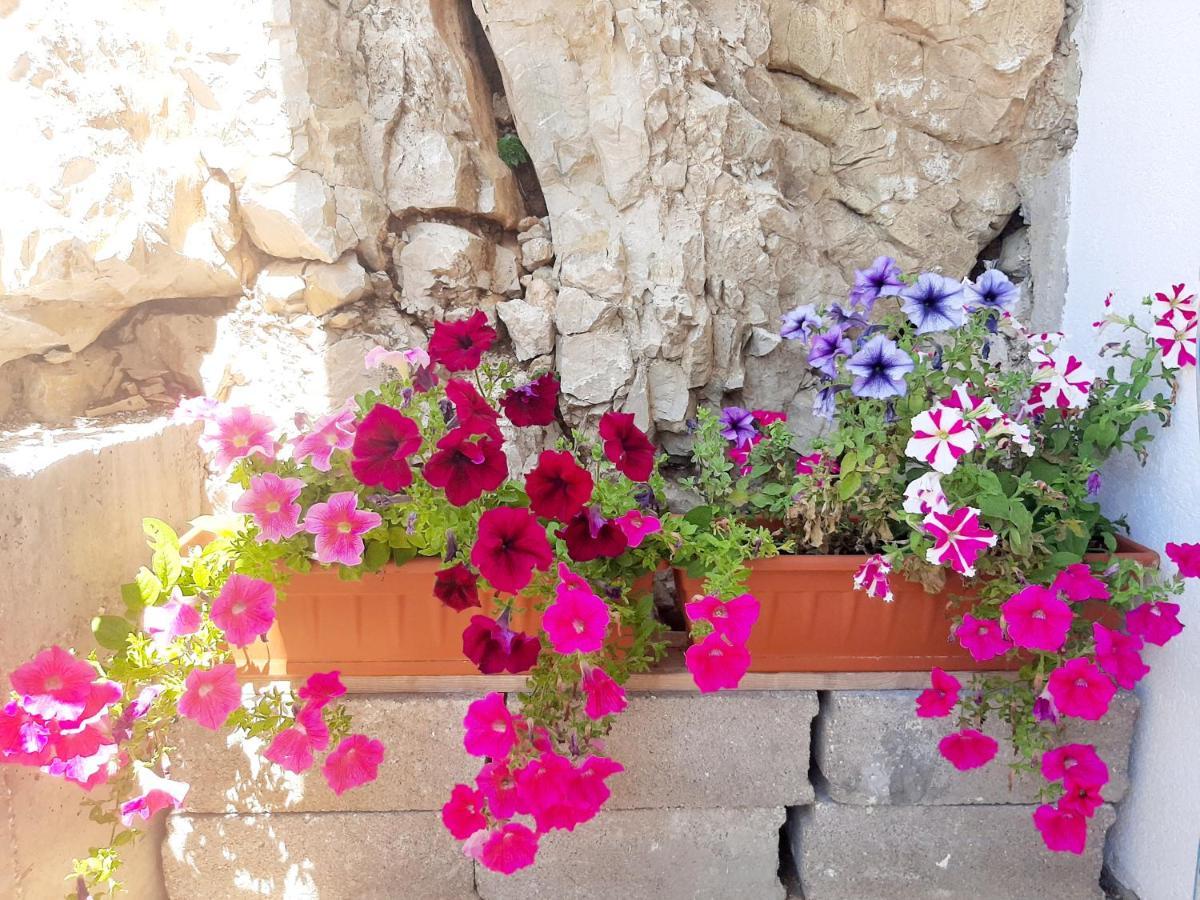 Apartments Tonkita With Jacuzzi Makarska Exterior foto